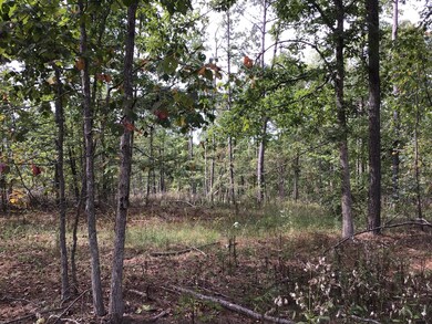 0 Sassafras Ridge Rd unit 1999789, Linden, TN 37096 - photo 4