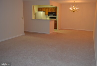 23140 Cobblestone Ln unit 408, California, MD 20619 - photo 7