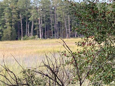 View of nature