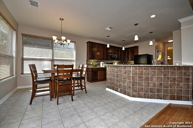 10536 Black Horse, Helotes, TX 78023 - photo 7