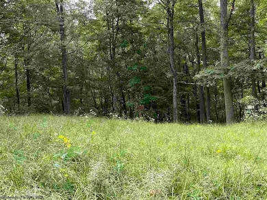 TBD Helens Run Rd, Worthington, WV 26591 - photo 4