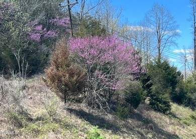 Dryden loop