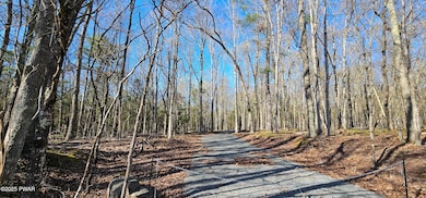 Lot 85 Perry Pond Rd, Tusten, NY 12764 - photo 2