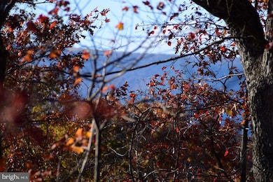 152.44 Acres Lot 2 Laurel Grove Rd, Winchester, VA 22602 - photo 7