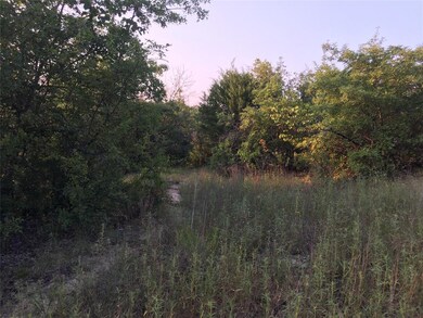 TBD Oak Ridge Estate, Springtown, TX 16082 - photo 4