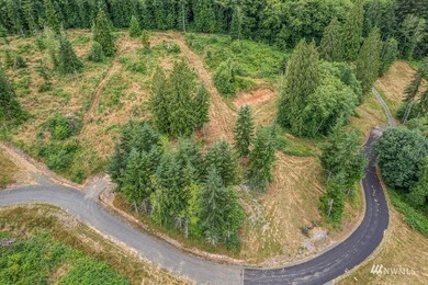 242 Bison Run, Longview, WA 98632 - photo 2