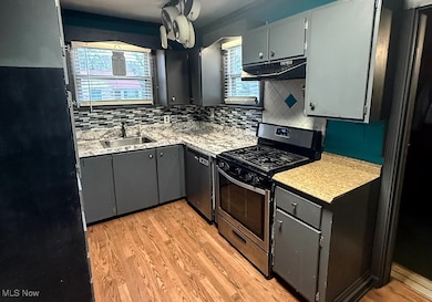 6284 Seneca Rd, Mentor, OH 44060 - photo 4