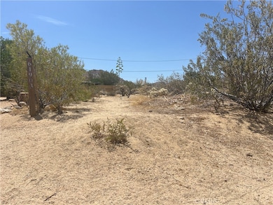 61891 El Reposo Cir, Joshua Tree, CA 92252 - photo 3