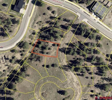 48 Wild Chives Ct (Lot 103), Durango, CO 81301 - photo 2