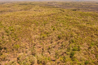 27064 Hickory Tree Ln, Lincoln, MO 65338 - photo 5