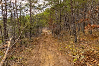 23 Acres County Road 3217, Haleyville, AL 35565 - photo 6