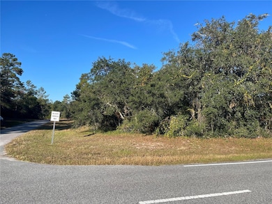 0 Marion Oaks Blvd unit MFROM713736, Ocala, FL 34473 - photo 5