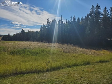 309 Pinaceae Heights, Divide, CO 80814 - photo 5