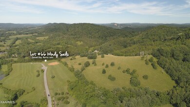 L#66 Windy Sails, Sunset Bay Norris Lake