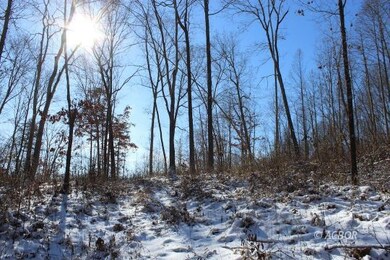 0 Mann Rd unit 2424445, Logan, OH 43138 - photo 3