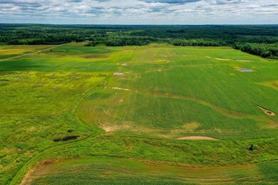 +/-19.85 Acres Wiese Dr, Rib Lake, WI 54470 - photo 2