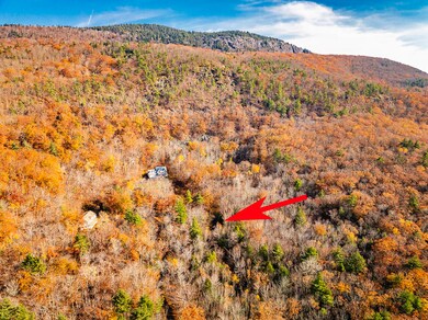 Lot 22&23 Tamarack Trail, Camden, ME 04843 - photo 2