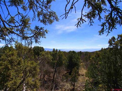 0 Uintah Rd unit 700701, Cedaredge, CO 81413 - photo 4