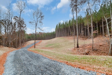 10300 Fink Rd unit 2, Mount Pleasant, NC 28124 - photo 4