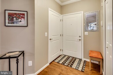 8490 Ice Crystal Dr unit P, Laurel, MD 20723 - photo 5