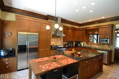 8254 N 2075 Rd E, Downs, IL 61736 - photo 6