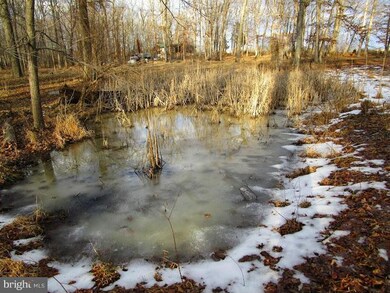 16506 Gaines Rd, Broad Run, VA 20137 - photo 6