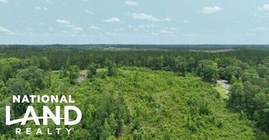 0 Lindsey Rd unit 25760188, Eclectic, AL 36024 - photo 5