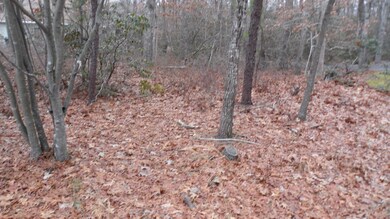 12 Angela Dr, Little Egg Harbor Township, NJ 08087 - photo 5