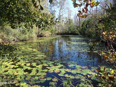 000 Windy Lewis Rd, Bonifay, FL 32425 - photo 5