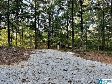 133 Lake Breeze Ln unit 3, Wedowee, AL 36278 - photo 4