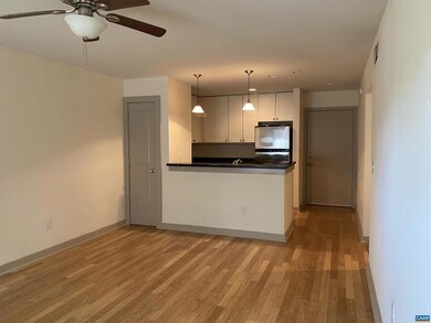 1521 Virginia Ave unit 1, Charlottesville, VA 22903 - photo 7