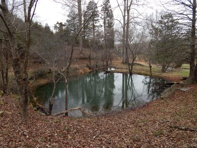 1088 Big Opossum Rd, Linden, TN 37096 - photo 3