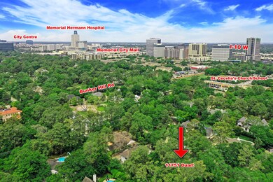 11751 Duart Dr, Houston, TX 77024 - photo 6
