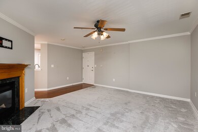 6502 Ridenour Way E unit 3A, Sykesville, MD 21784 - photo 5