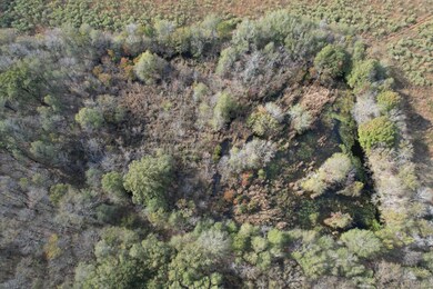 0 John Rivers Rd unit 11562988, Winnsboro, LA 71295 - photo 5