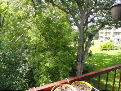 4001 Heritage Hills Dr unit 205, Bloomington, MN 55437 - photo 4