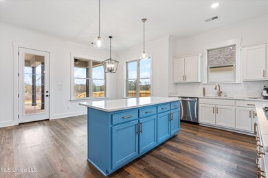 3866 Swan Cove, Hernando, MS 38632 - photo 3