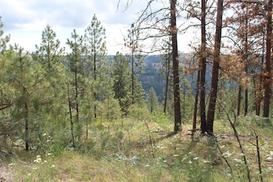 Badger Lot 1&2 Sontag Ridge Ln, Davenport, WA 99122 - photo 2