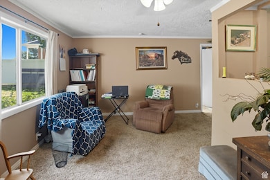 Living area with ornamental molding, carpet floors, a textured ceiling, and ceiling fan