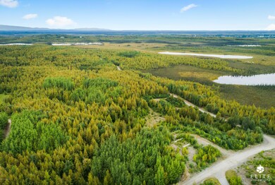 aerial front view