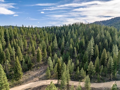 Lot 17 Trail Creek Ct, Placerville, ID 83666 - photo 4