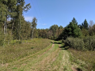 4868 Paula Dr unit 56.45, Hale, MI 48739 - photo 4