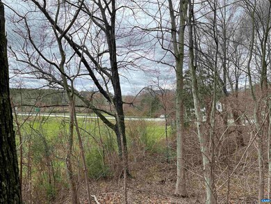 TBD Patrick Henry Hwy, Roseland, VA 22967 - photo 3