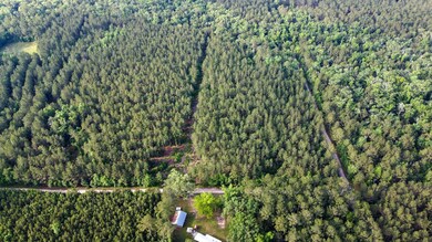 Blue Sparks SC Land for Sale-04