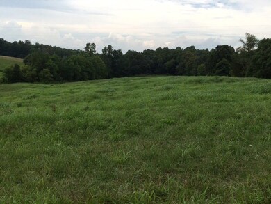 7.7 AC Eckles Cemetery Rd, Livingston, TN 38570 - photo 7