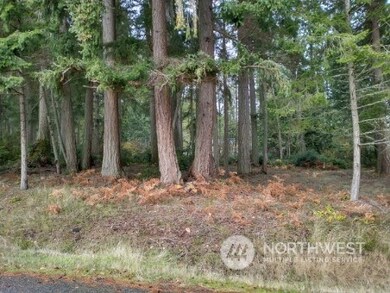 10224 Totem Way, Anderson Island, WA 98303 - photo 2