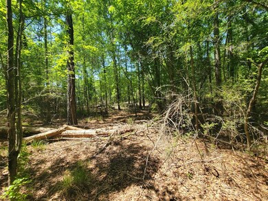 0 S Hwy 27 unit 27320, Geneva, AL 36340 - photo 2