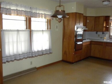 431 S Front St, Virginia, IL 62691 - photo 4