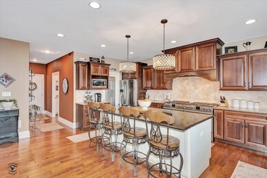 23933 S Roberts St, Manhattan, IL 60442 - photo 6