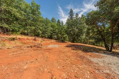 171 Connor Creek, Junction City, CA 96048 - photo 3